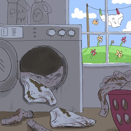Laundry cover art