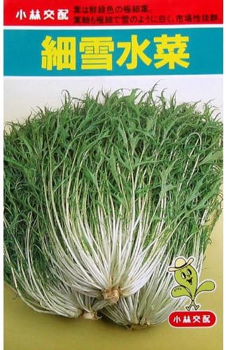 Amazon 水菜 種 細雪水菜 小袋 約6ml 野菜