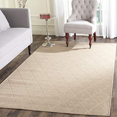 SAFAVIEH Palm Beach Accent Rug (4' x 6')