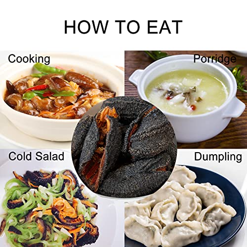 Dabc Oak Land Sea Cucumber Canada Dried Supplement - Wild Caught Sea Cucumber Dried All Natural Nutritious In Bag (Small 1Lb/Bag) #TOP4