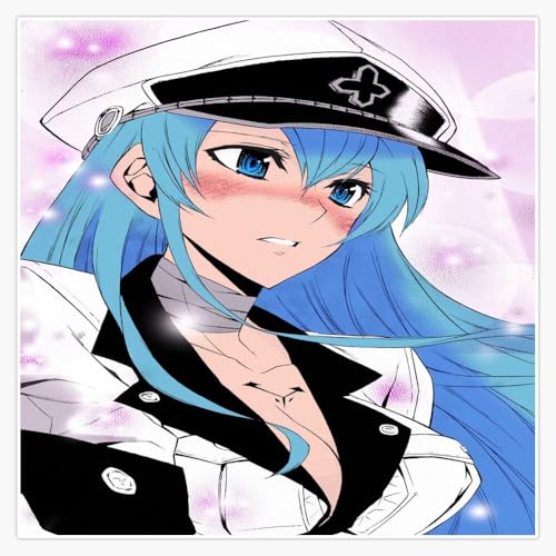 Esdeath - Akame ga Kill! Sticker Decal Car Window Water Bottle 5