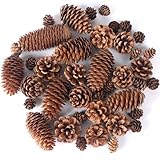 JOHOUSE 40PCS Natural Pine Cones Bulk, Pinecones Decorations Pine Cone Ornaments for Crafts Thanksgiving Christmas Wreath Table Bowl Decor, Winter Vase Filler