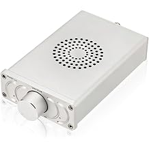 D600 Monaural Power Amplifier Equipped with TPA3255, 600W, High Output, Digital Hi-Fi Amplifier, Anechoic Heat Dissipation Design, Supports DC 24-48V Silver