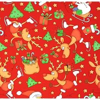 STAR Weihnachts-Geschenkpapierrolle – Nussknacker & Fee Motiv, 70 Cm X 2 M, FSC-zertifiziertes Papier