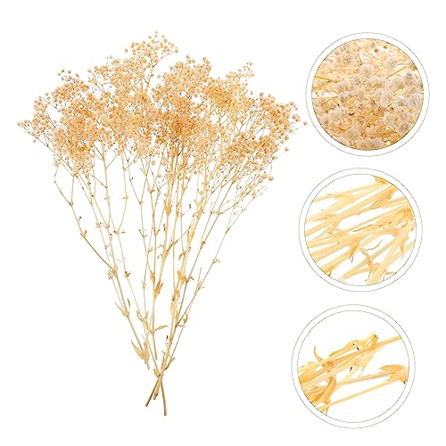 Ramo de flores secas Gypsophila para decoración blanca miniatura 3