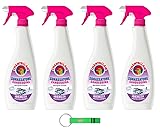 4x Chanteclair Sgrassatore Candeggina Entfetter mit Bleichmittel/Bouquet Fiorito, 625ml Spray + Beni Culinari Kostenloser Schlüsselanhänger