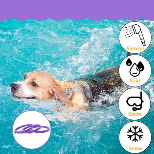 KOMUNJ Beruhigungshalsband für Hunde, 2 Pack Verstellbares Calming Collar for Dogs, Beruhigende Halsbänder Größenverstellbares Hundhalsband Lindern Sicher Wasserdicht für Kleine Mittelgroße Große Hund