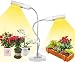 LED Grow Lights, 50W Full Spectrum Growth lamp, Double Head gooseneck Indoor Plant lamp.