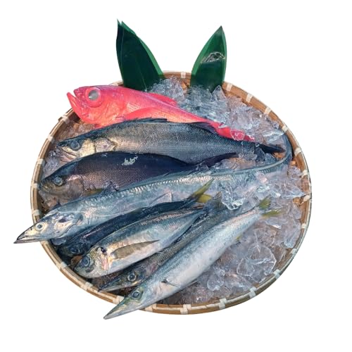 お刺身用 三浦半島の天然地魚 三枚おろし 約1.5kg
