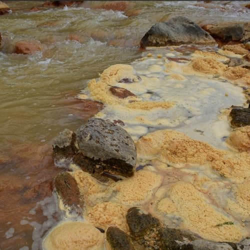 El r&iacute;o que brilla de veneno (Ep. 3) | Rosita y el abuelo r&iacute;o: la fiebre del oro