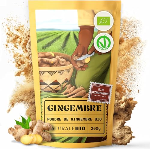 NaturaleBio Gingembre en poudre 200g