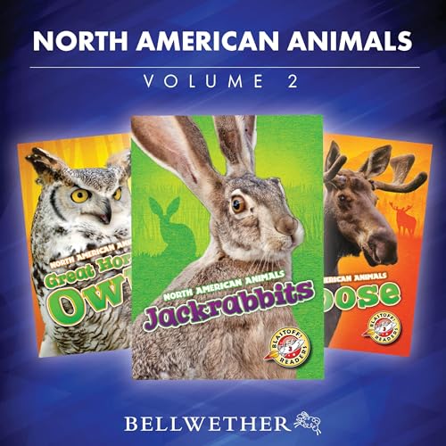 North American Animals: Volume 2 by various episode artwork
