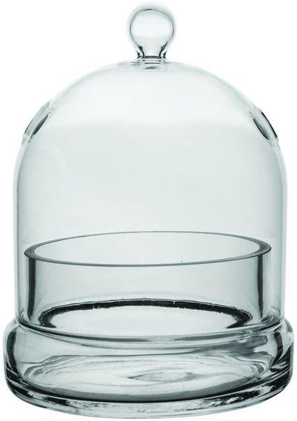 Syndicate Home Gardens Universal Indoor or Patio Glass Terrarium Cloche Casing with Built In Air Holes