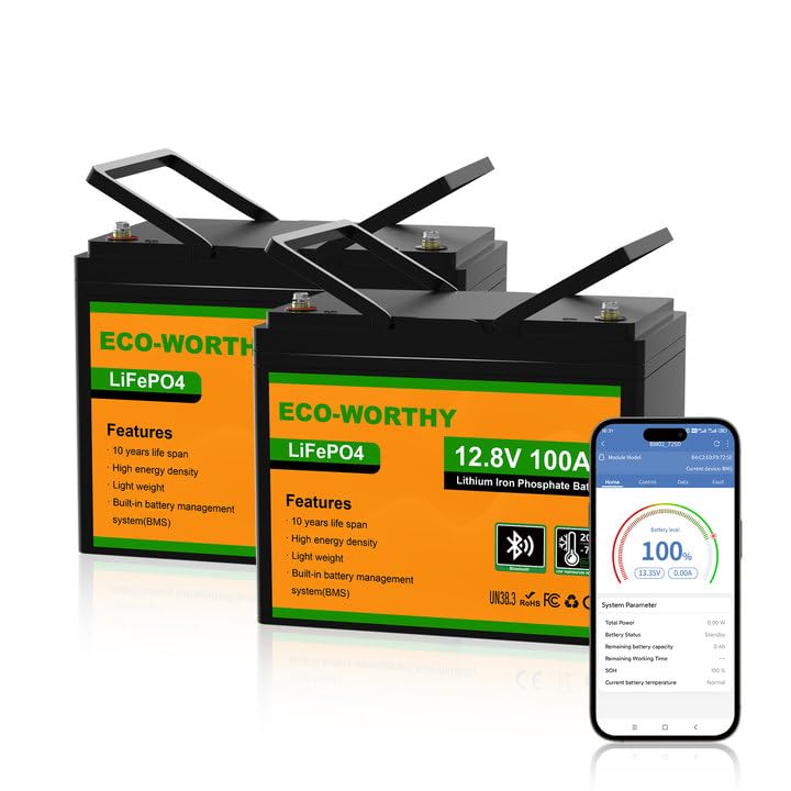 ECO-WORTHY 2 sztuki akumulator LiFePO4 12V 100Ah Bluetooth z 100A BMS ochroną przed niskimi temperaturami i maksymalnie 15000 cyklami, 1280Wh akumulator litowy 12V 100Ah akumulator samochodowy do