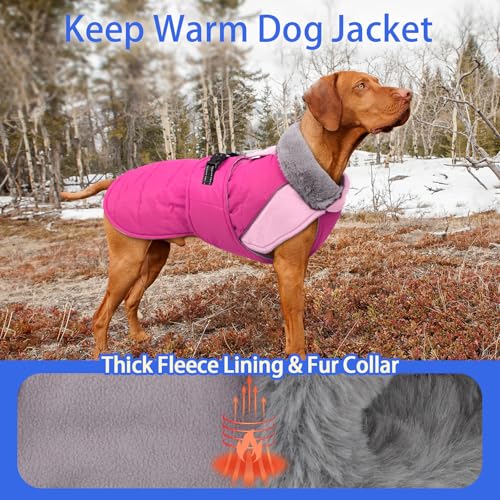 Image of MIGOHI Waterproof Dog Winter Coat - Thick Dog Fleece Jacket with Reflective Strips, Warm Winter Snowsuit Sweater for Small Dogs,Machine Washable,French Bulldog,M,Rosepink