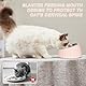 YYTECH 3 Stück Katzennapf Edelstahl, 15° Schräg Futternapf Katze Set, Erhöhter Fressnapf Katze Hundenapf, Fressnapf Für Katze Hunde, Wasser Fütterung Schüssel Abnehmbarer Katzennäpfe für Wasser Snack