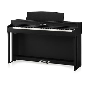 Amazon.com: Kawai CN301 88-Key Digital Piano with Responsive