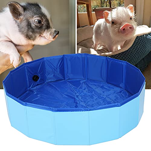 Banheira para Cães, Piscina para Cães, Tecido de PVC Espesso, Plástico Azul, Dobrável para Chuveiro