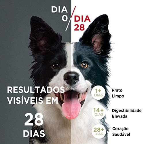 NESTLÉ PURINA ONE Ração Seca para cães adultos Minis e Pequenos Frango e Carne 2kg