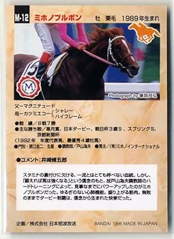 希少ミホノブルボン‼️1992年日本ダービー馬券コレクション単勝馬券 ミホノブルボン 1992年 第59回東京優駿(日本ダービー)(GI) (優勝