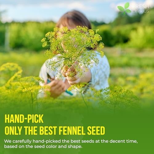 Image of FreshDrinkUS, Premium 135 Fennel Tea Bags, 100% Natural & Pure from Fennel Seeds. Made with Natural Material Tea Bags. No Sugar, No Caffeine, No Gluten, Vegan.