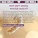 Great River Milling Organic Soft White Winter Wheat | Whole Grain Wheat Berries for Baking & Milling | USDA Organic, Non-GMO, Kosher | Ideal for Pastries, Tender Breads, Desserts, Soup & Salad | 5 Lb