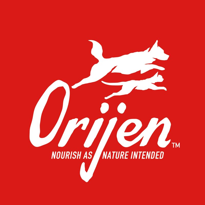 Orijen Kitten | Doppelpack | 2 x 340 g | Alleintrockenfutter für Katzen | Kann dabei helfen Kitten optimal zu versorgen | Enthält 15 frische oder rohe Zutaten | Mit Geflügel