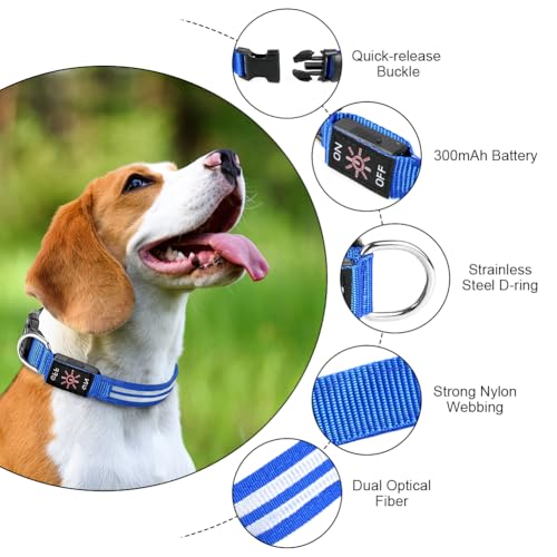 AUAUY LED Light Up Dog Collar, Pet Dog Double Light Strip Collar - Image 3