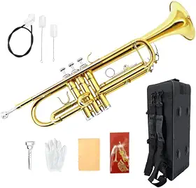 Trompete Bb para iniciantes – Instrumento de latão plano padrão B com bocal 7C, estojo rígido e kit de limpeza, trompete de estudante para prática de banda, aulas e presente (dourado)