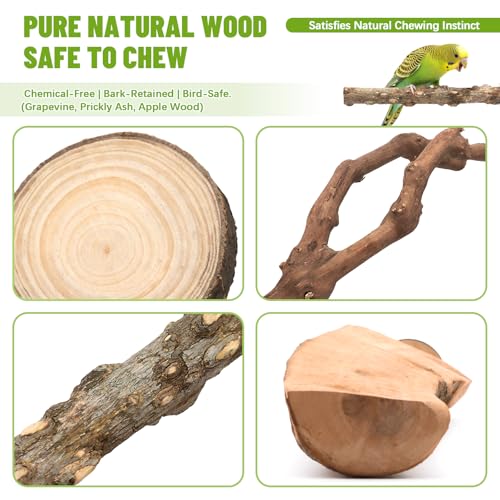 Image of 6 Pcs Natural Wood Bird Perch & Platform Set for Cage