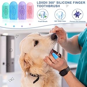 Dog toothbrush dog tooth brushing kit 4pack dog finger toothbrush for dog teeth cleaningdog dental carecat toothbrush dog tooth brush puppy toothbrush pet toothbrush   cucciolini doodles