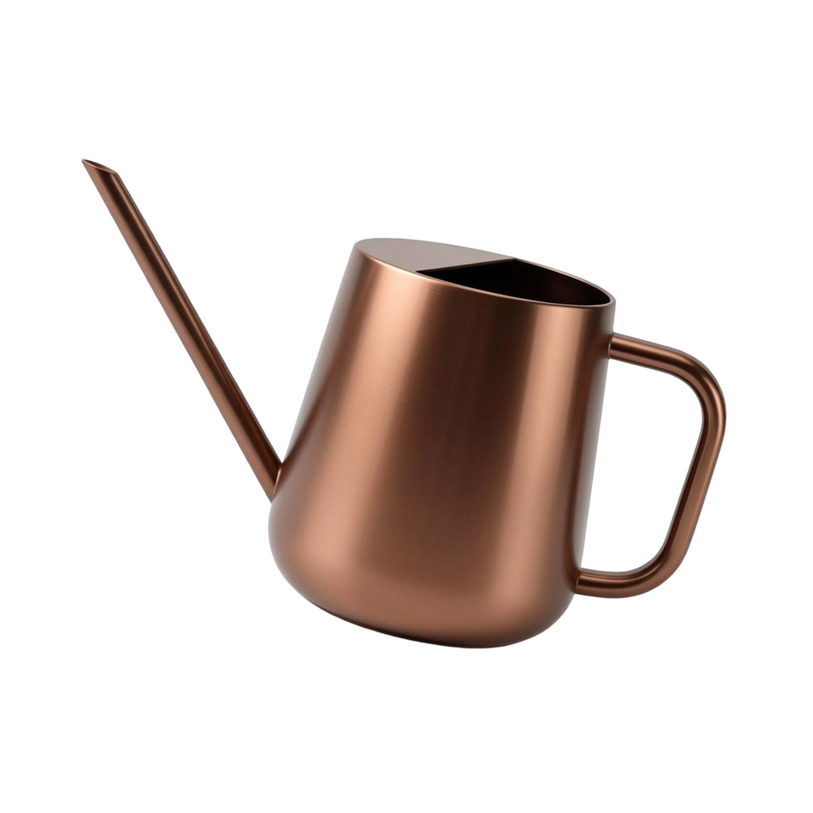 Watering Can for Indoor Plant Long Spout Watering Can Indoor for House Plant Flowers Succulents