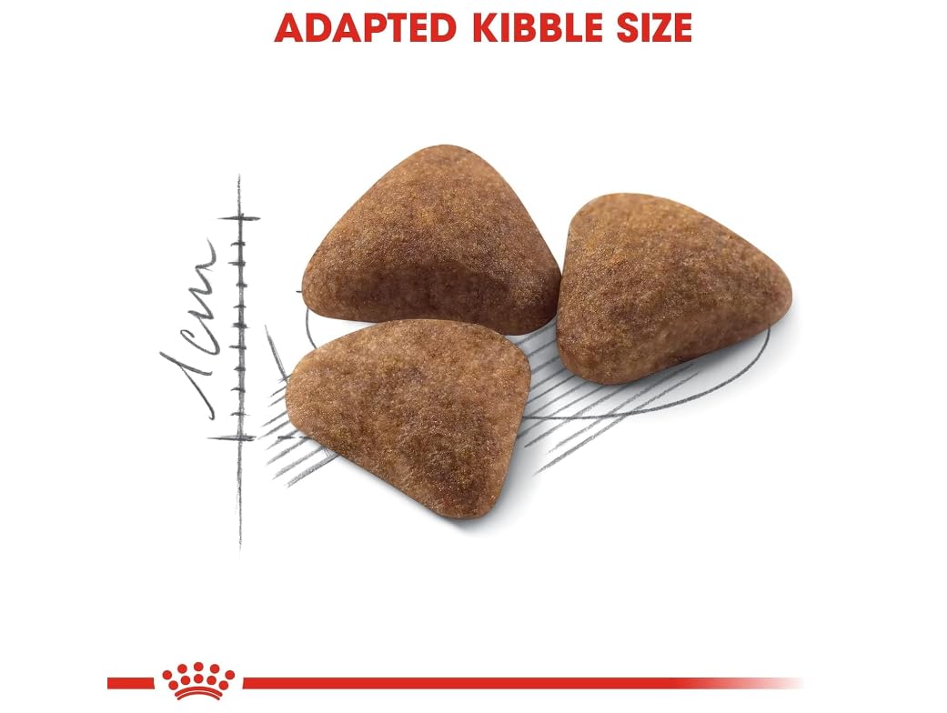 Amazon | ロイヤルカナン FHN インドア 成猫用 4kg×2個セット | ノー