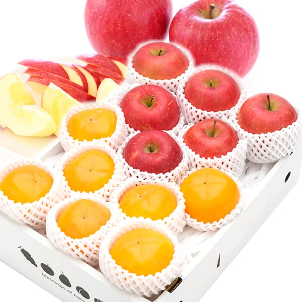 北のデリシャス 冬の果実 2色詰め合わせ (秀品/Bセット) 冬ギフト ギフト 贈り物 贈答 お祝い 内祝い ご家庭用 りんご サンふじ 柿 庄内柿 果物 フルーツ お取り寄せ