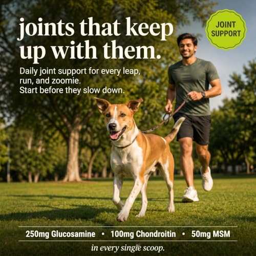 Image of Daily Dog Supplement | Probiotics for Dogs | Supports Gut Health, Joint Health, Skin and Coat | Multivitamin | 12-in-1 Vet-Formulated | Glucosamine + Chondroitin | Omega-3 | 300g
