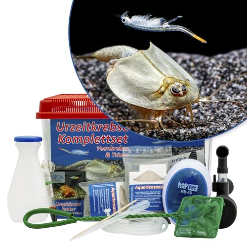 AQ4Aquaristik Triops und Feenkrebse Urzeitkrebse Komplettset 6 Liter Kunststoff Aquarium Eier Luftpumpe Filter Kescher Zuchtansatz Futter und Anleitung