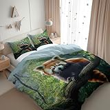 CozyRest