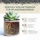 ORAGARDEN Aktivierte Pflanzenkohle für Garten & Pflanzen – 3L Holzkohle für Zimmerpflanzen, Gemüse, Rasen – Bodenverbesserer & Nährstoffspeicher