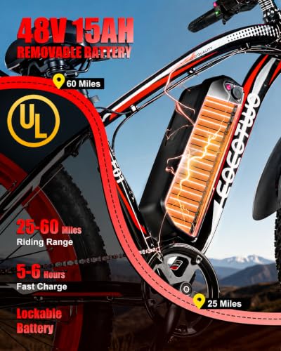 EOEOTWO 1500W Fat Tire Ebike