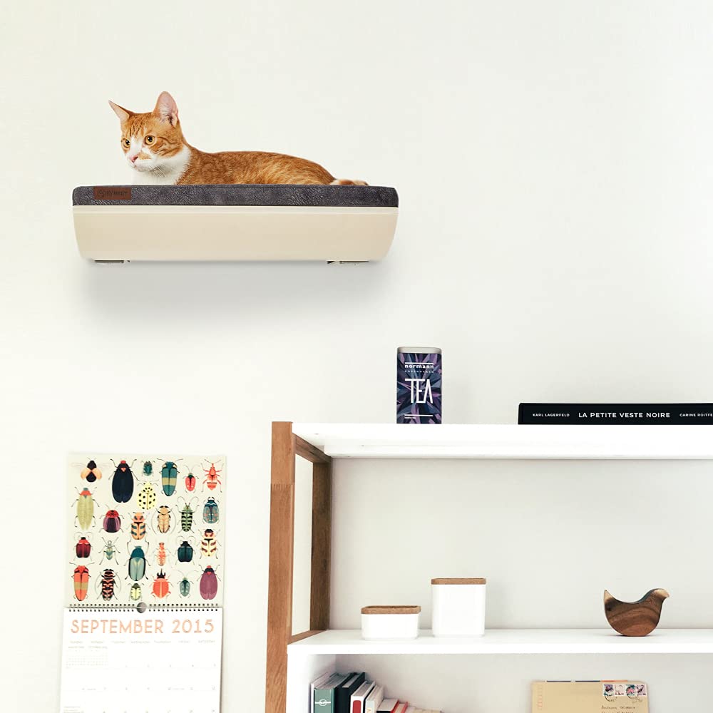 Leżak dla kota CHILL | koty | ściana | leżak do leżenia dla kota | okno do leżenia dla kota | akcesoria dla zwierząt domowych | 50 cm x 41 cm | Made in Europe (klon)