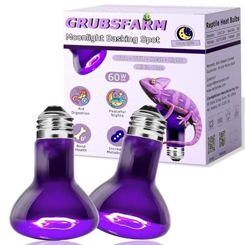 GRUBSFARM 60W Reptile Night Light Bulb – 2.5" Small Purple Moonlight UVA Heat Lamp for Bearded Dragons, Lizards, Snakes, Chameleons, Amphibians, Turtles – Indoor Terrarium Basking Lamp, 2-Pack