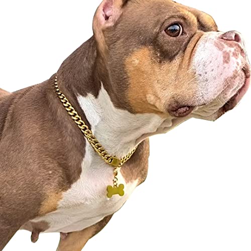 SUNEW Walking Collar with Dog Tag Design Secure Buckle Cuban Link Chain Collar Heavy Duty Chew Proof for Medium Large Dogs
