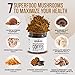 La Republica Instant Mushroom Coffee Organic – 100% Arabica Coffee with Lion’s Mane, Reishi & 5 More Mushrooms for Focus, Immunity, Energy Support & Fast Metabolism – 35 Servings