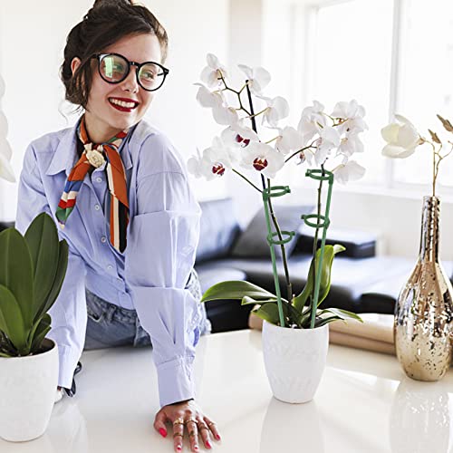 12"+12" Plant Support Stakes, Adjustable Plastic Plant Cage Garden Plant Stakes Plant Sticks Plant Support Ring, Plant Stakes For Indoor Plants Orchid Amaryllis Vegetables((12" 20Pcs) #TOP5