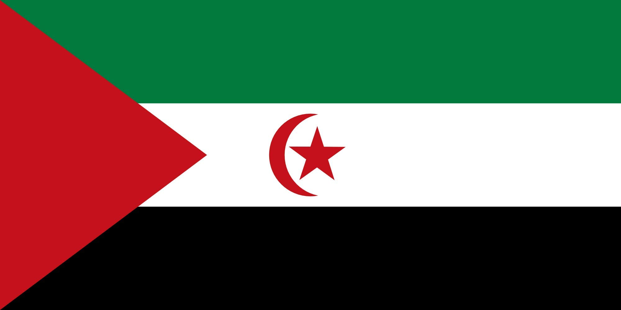Drapeau RASD grand modèle proposé pour les passionnés d'histoire internationale