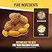 Barcelona Nut Inshell Peanuts Salted & Dry Roasted Bags - 2 Pounds - In Shell For Human - Whole Jumbo Peanuts In The Shell for People