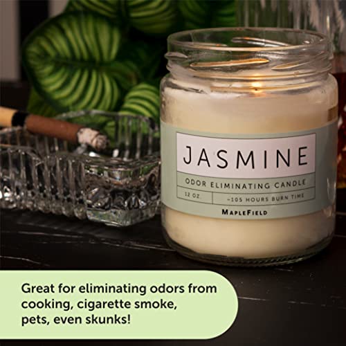 Odor Eliminator Candles For Your Home - Refresh Your Space With Pet Candles Odor Eliminator - Strong Scented Candles - Smoke Candles Odor Eliminator For Any Room - Smoke Candle - Pet Odor Candle (Jasmine) #TOP4