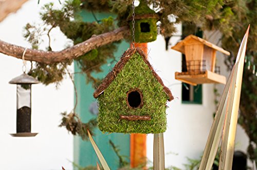 SuperMoss (56012) Maison Birdhouse with Chain, 11 by 12-Inch, Fresh Green - Thumbnail 3