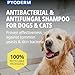 PYODERM GLYCOTEC Shampoo für Hunde und Katzen, 250 ml