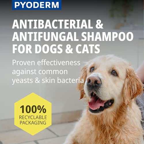 PYODERM GLYCOTEC Shampoo für Hunde und Katzen, 250 ml